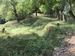 Lote en Venta en vereda Guaimaral, Amaga — miniatura 14