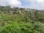 Lote en Venta en Vereda San Jose, Guarne — miniatura 2