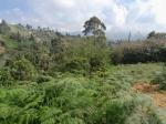 Lote en Venta en Vereda San Jose, Guarne — miniatura 3