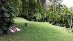 Lote en Venta en El Hatillo, Barbosa — miniatura 2
