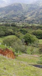 Lote en Venta en El Hatillo, Barbosa — miniatura 4