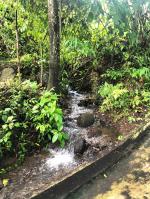Lote en Venta en vía hacia Bolombolo, Venecia — miniatura 3
