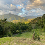 Lote en Venta en vía hacia Bolombolo, Venecia — miniatura 7