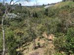 Finca en Venta en Guarne Vereda Canoas, Guarne — miniatura 14