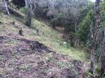 Finca en Venta en Guarne Vereda Canoas, Guarne — miniatura 19