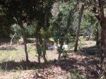 Finca en Venta en Guarne Vereda Canoas, Guarne — miniatura 11