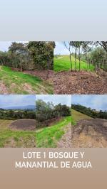 Lote en Venta en Sector Aeropuerto, Rionegro — miniatura 10