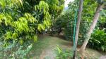 Finca en Venta en Sopetrán — miniatura 16