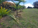 Lote en Venta en Vereda San Jose, Guarne — miniatura 3