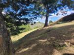 Lote en Venta en Vereda San Jose, Guarne — miniatura 6