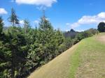 Lote en Venta en Vereda San Jose, Guarne — miniatura 7