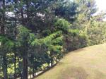 Lote en Venta en Vereda San Jose, Guarne — miniatura 9