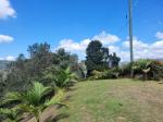 Lote en Venta en Vereda San Jose, Guarne — miniatura 10
