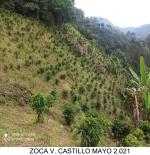 Finca en Venta en Andes, Andes — miniatura 4
