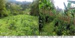 Finca en Venta en Andes, Andes — miniatura 6