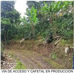 Finca en Venta en Andes, Andes — miniatura 7