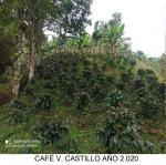 Finca en Venta en Andes, Andes — miniatura 9