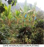 Finca en Venta en Andes, Andes — miniatura 10