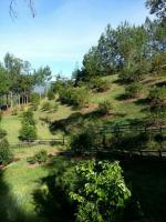 Finca en Venta en Llanogrande, Rionegro — miniatura 14