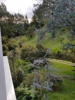Finca en Venta en Llanogrande, Rionegro — miniatura 6