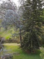 Finca en Venta en Llanogrande, Rionegro — miniatura 7