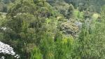 Finca en Venta en Llanogrande, Rionegro — miniatura 10