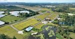 Lote en venta en Llanogrande, El Tablazo, Rionegro