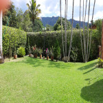 Finca en Venta en San Jerónimo, San Jerónimo — miniatura 20