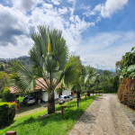 Finca en Venta en Pontezuela, Rionegro — miniatura 19