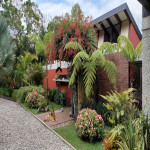 Casa en Venta en El Carmen, El Carmen De Viboral — miniatura 19