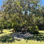 Casa en Venta en El Carmen, El Carmen De Viboral — miniatura 22