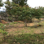 Lote en Venta en Sector Toldas, Guarne — miniatura 10