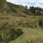Lote en Venta en Sector Toldas, Guarne — miniatura 2