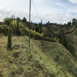 Lote en Venta en Sector Toldas, Guarne — miniatura 4