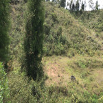 Lote en Venta en Sector Toldas, Guarne — miniatura 6