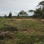 Lote en Venta en Sector Toldas, Guarne — miniatura 7