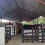 Finca en Venta en La Pintada, La Pintada — miniatura 7