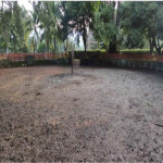 Finca en Venta en La Pintada, La Pintada — miniatura 8