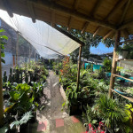 Lote en Venta en La Palma, Itagüí — miniatura 10