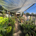 Lote en Venta en La Palma, Itagüí — miniatura 11