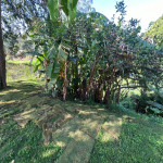 Lote en Venta en La Palma, Itagüí — miniatura 7