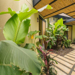 Finca en Venta en San Jeronimo, San Jerónimo — miniatura 5