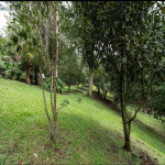 Casa en Venta en El Chocho, Envigado — miniatura 18
