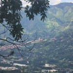 Finca en Venta en Vereda el Zarzal, Copacabana — miniatura 30