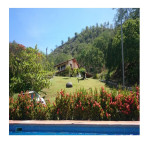 Finca en Venta en Sopetrán — miniatura 3