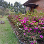 Casa Campestre en Venta en Santa Elena, Medellín — miniatura 16