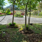 Casa Campestre en Venta en Santa Elena, Medellín — miniatura 19