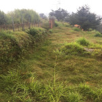 Lote en Venta en Vereda la Peña, Marinilla — miniatura 3