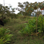 Lote en Venta en Vereda la Clara, Guarne — miniatura 2