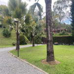 Finca en Venta en Vereda Chachafruto, Rionegro — miniatura 4